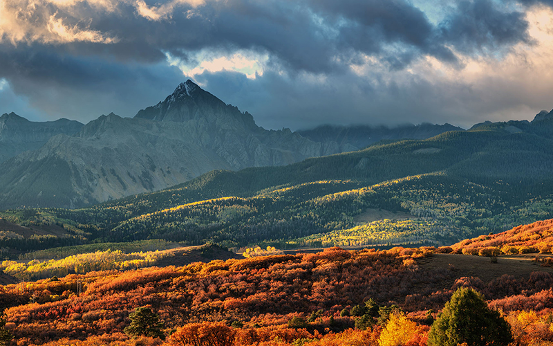 Fields-landscape-Reliability